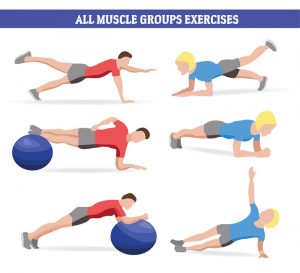 Muscle Groups Exercises