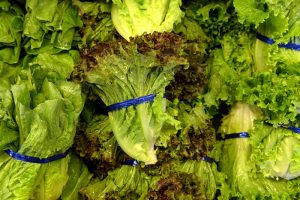 Leafy Green Vegetables